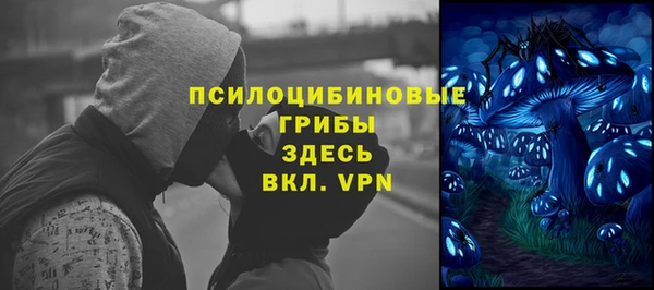 мдпв Арсеньев