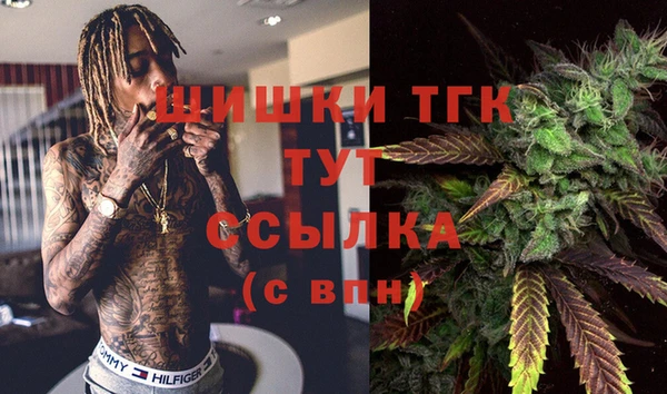 тгк Армянск