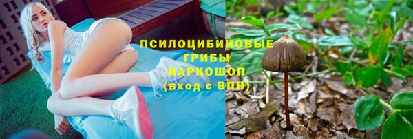 тгк Армянск