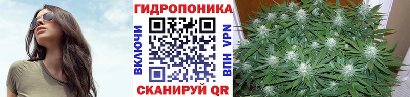 Бошки марихуана THC 21%  Ступино 